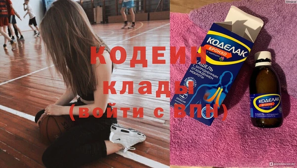 индика Абинск