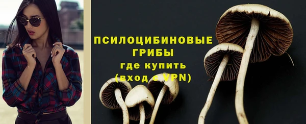 a pvp Алзамай