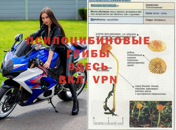 амфетамин Алексеевка