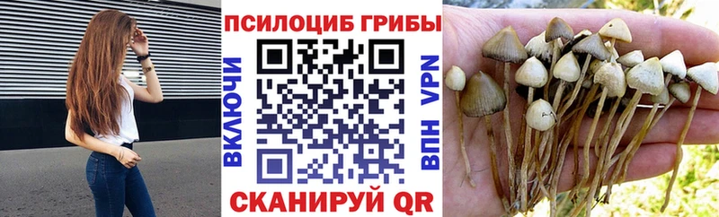 Галлюциногенные грибы MAGIC MUSHROOMS  Белореченск 